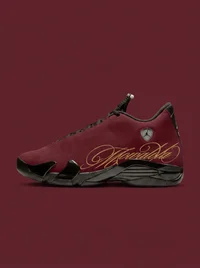 Mowalola Air Jordan 14
