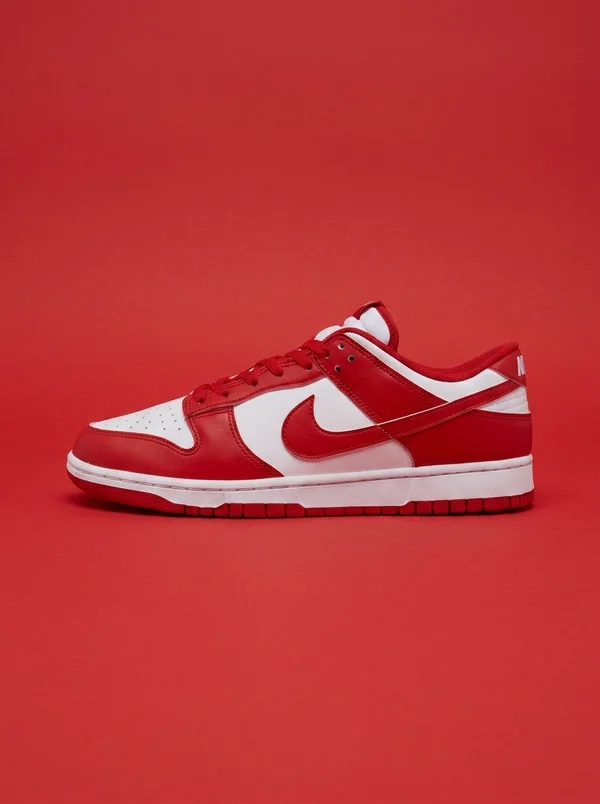 Men's Nike Dunk Low Retro Casual Shoes